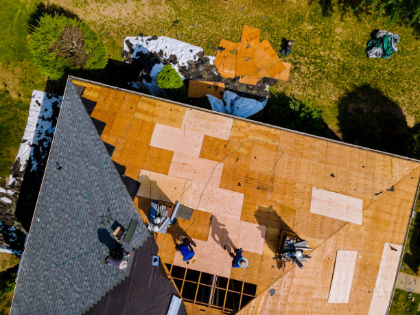 Best Storm Damage Roof Repair  in Fort Deposit, AL